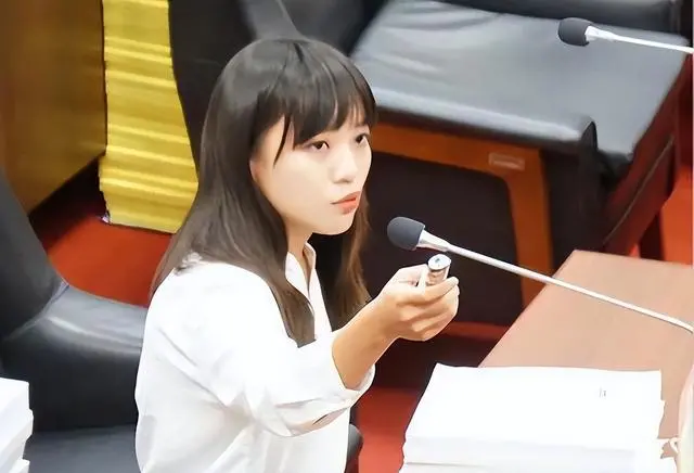 民进党女政客黄捷为了选票不惜出卖色相 | 八阕
