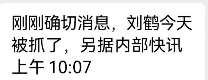 网傳中共前副總理劉鶴被抓 八闋