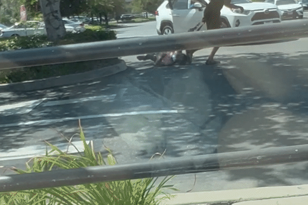 点击图片看原样大小图片